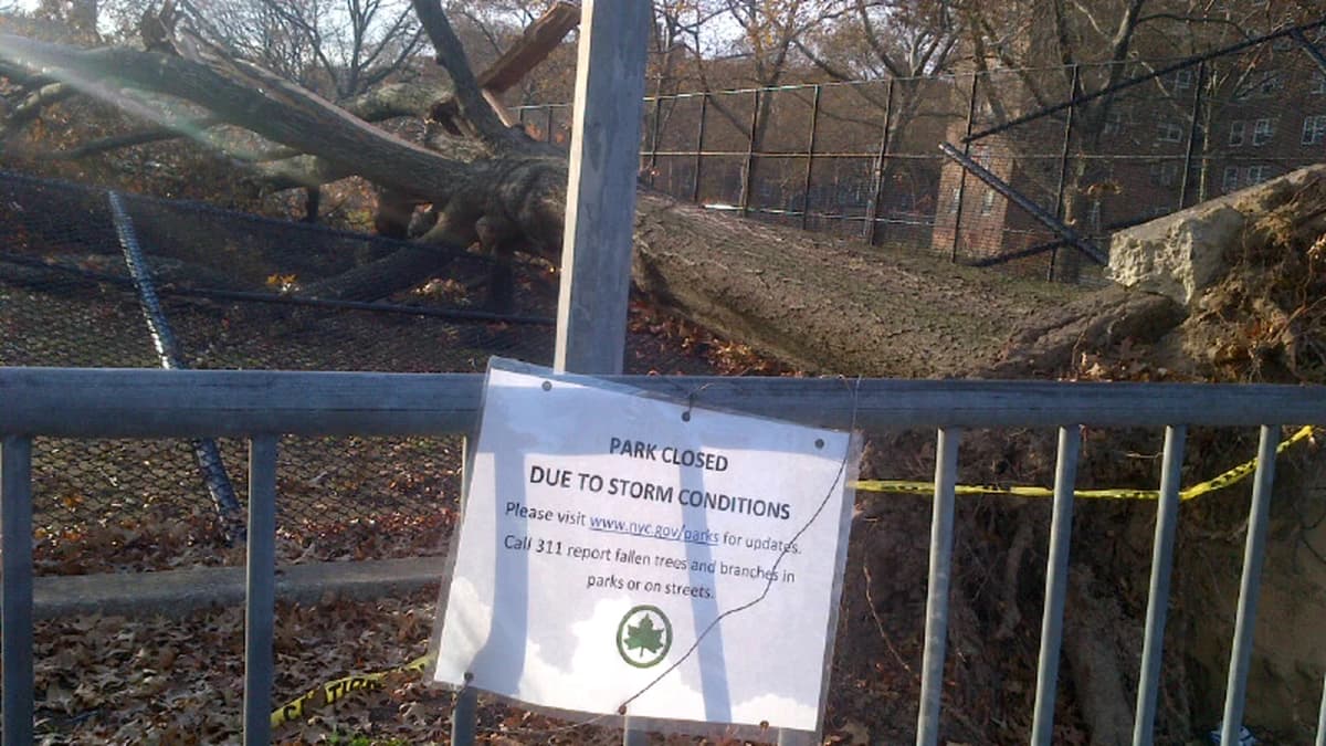High Wind Accidents in New York City legal guide image for New York injury claims