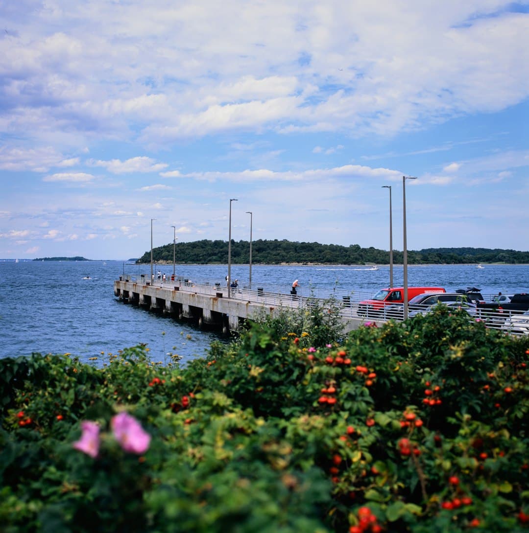 Nassau County dog bite lawyer representing animal attack victims in Long Island New York