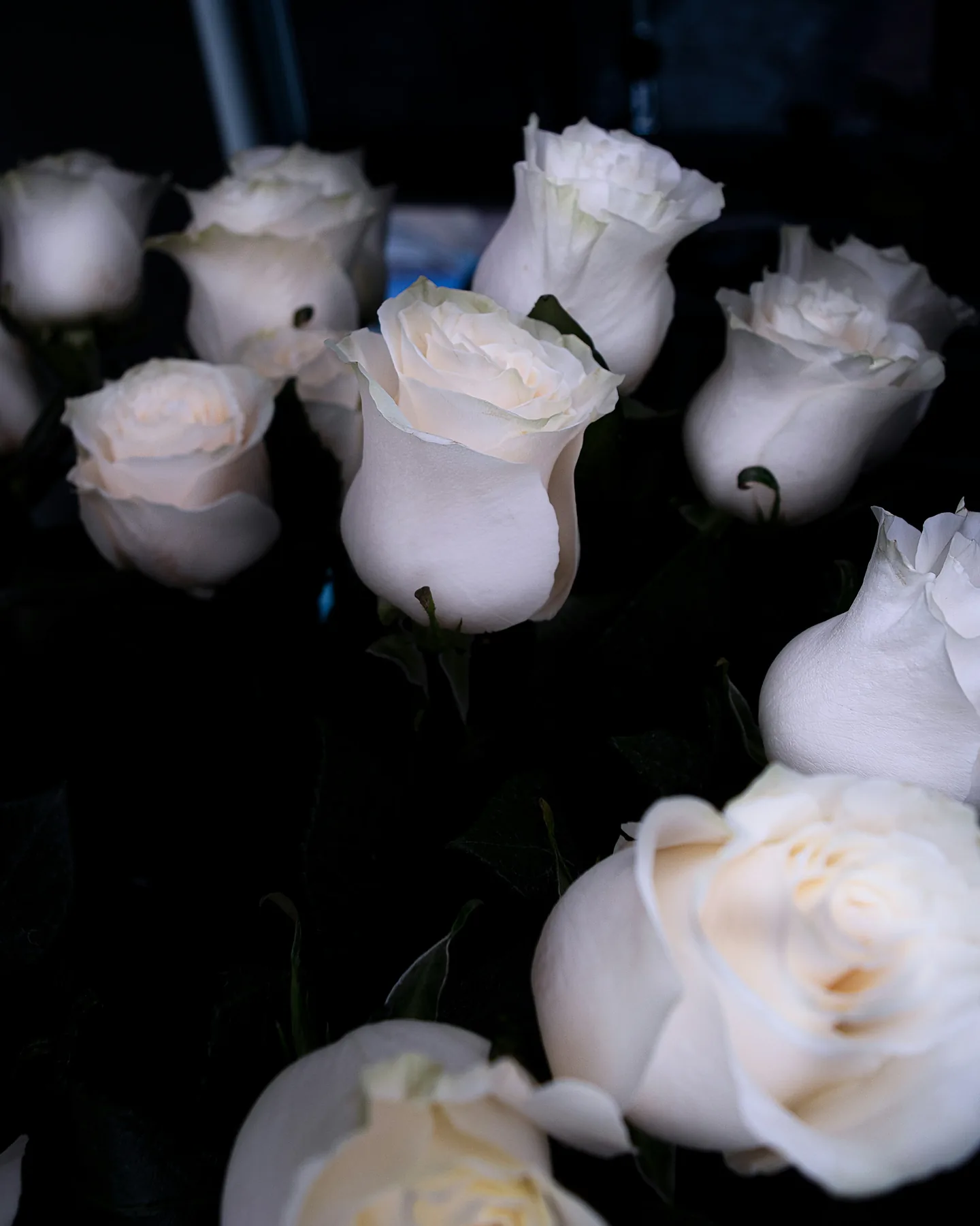 Queens wrongful death attorney representing fatal accident victims families in Queens New York