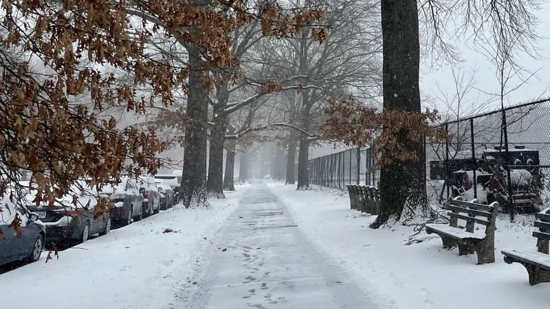 A cleared, snowy path with park benches along the Parade Ground on Parkside Avenue in Brooklyn.