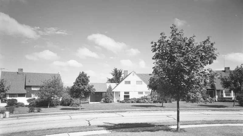 A historic black-and-white photograph of Levittown houses on a curving street with young trees, Nassau County.