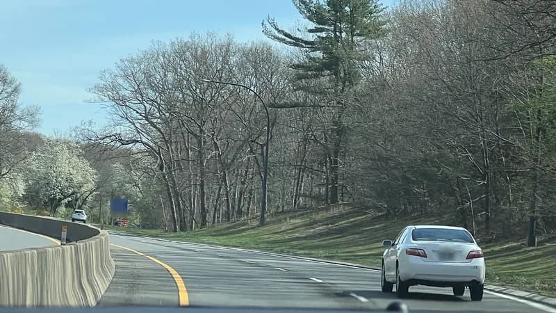 A curving stretch of the Northern State Parkway in Woodbury, lined with trees and a concrete median barrier.