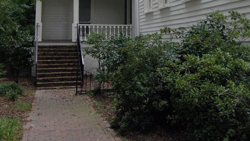 Brick steps with a railing leading up to the porch of a wooden house, between shrubs.