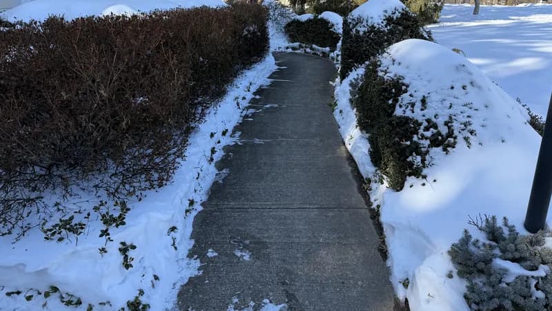 A shoveled residential sidewalk running between snowbanks and hedges in Ewing Township, New Jersey, after a winter storm.