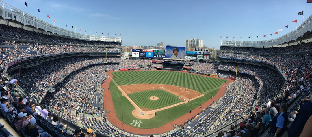 Bronx dog bite lawyer representing animal attack victims in Bronx County New York